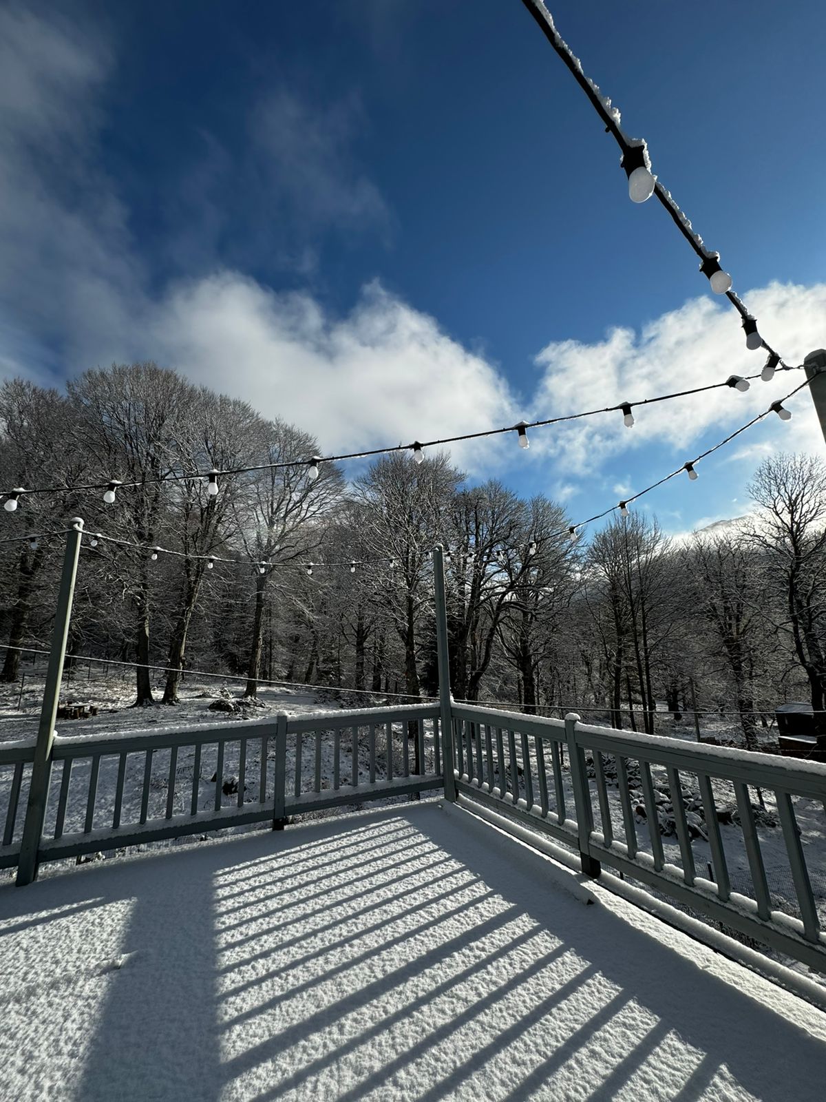 Фото Адреналин