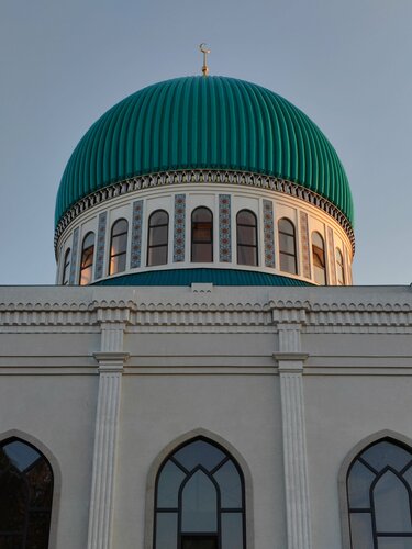 Alpha protokoli porno onlayn