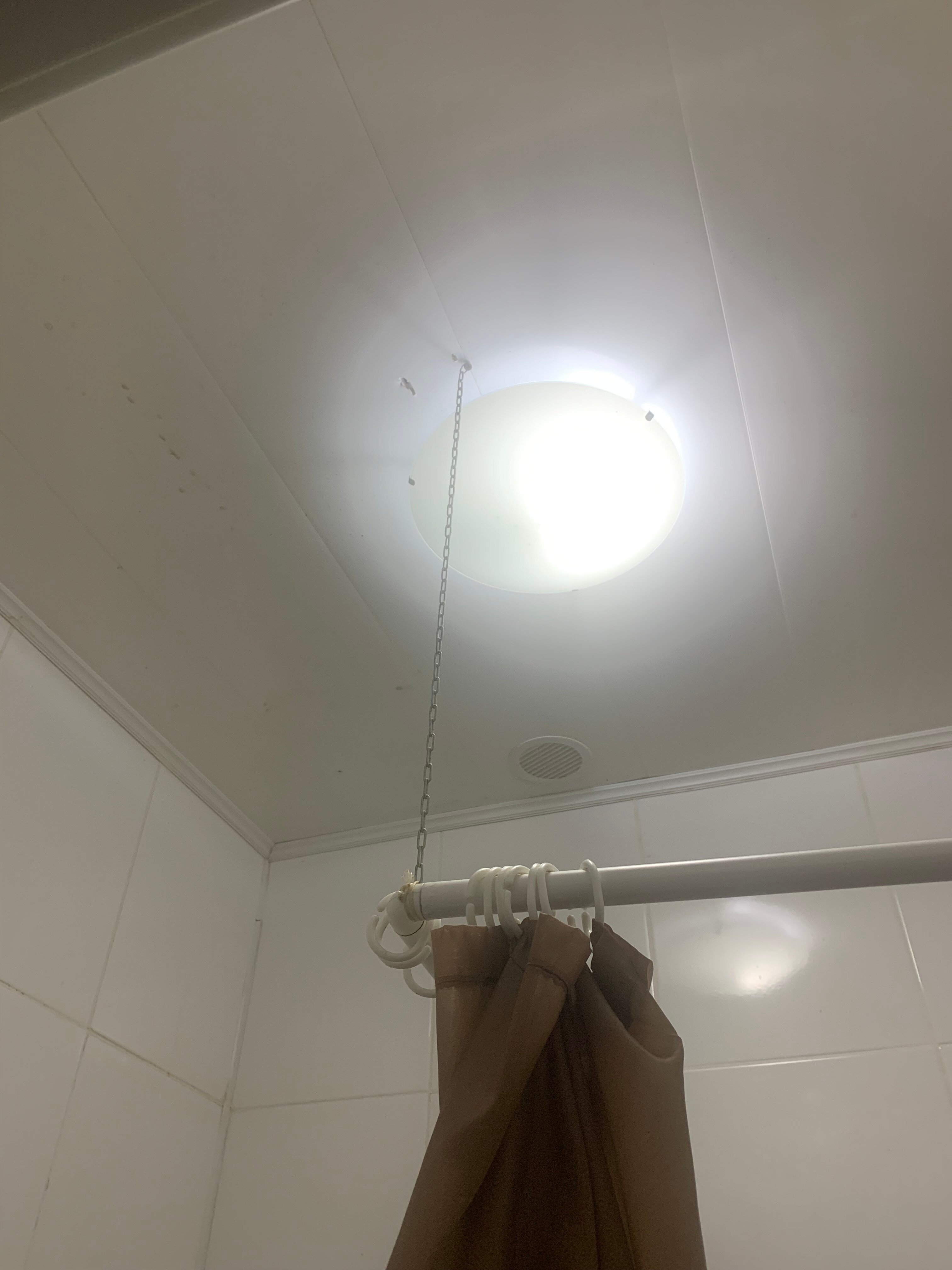 Фото Базилик 