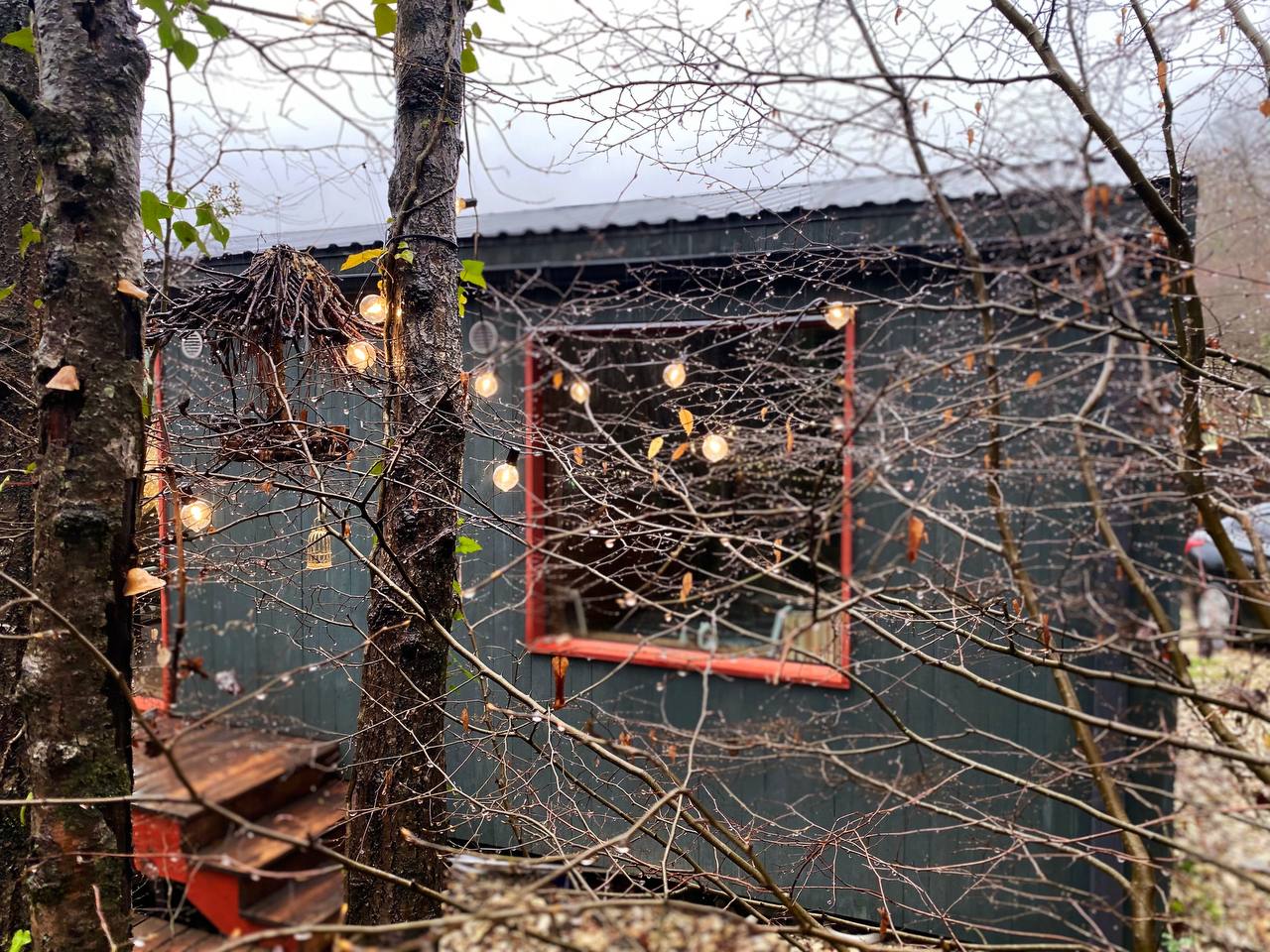 Фото Небо. Звезды