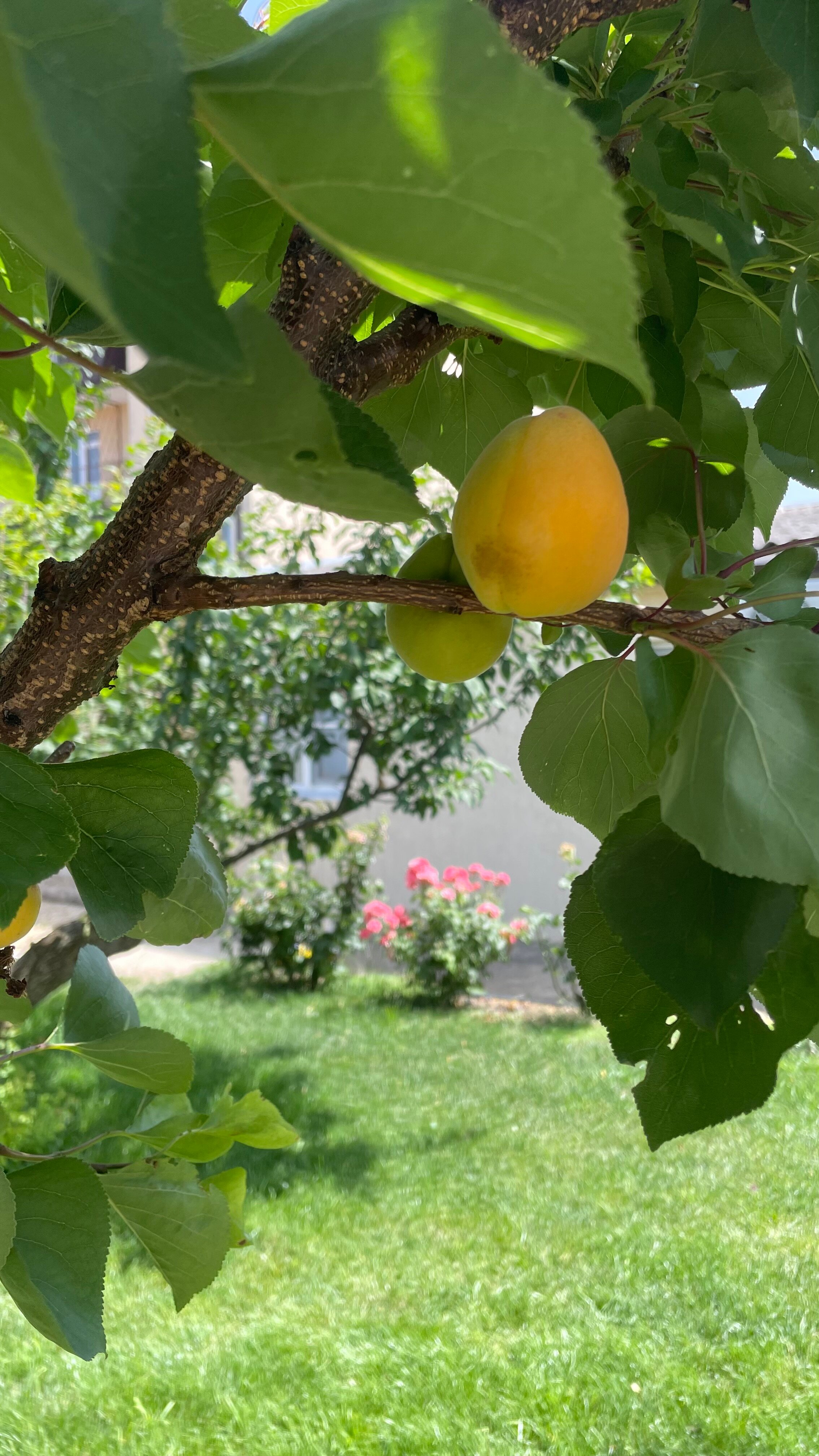 Фото Привет, родной!