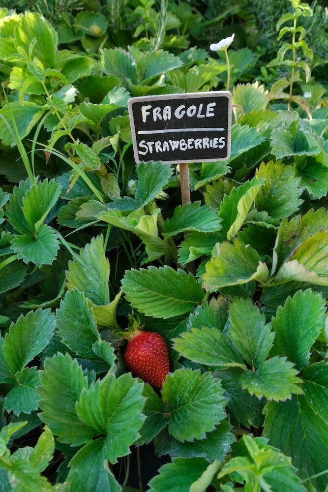 Фото Le Cantinelle