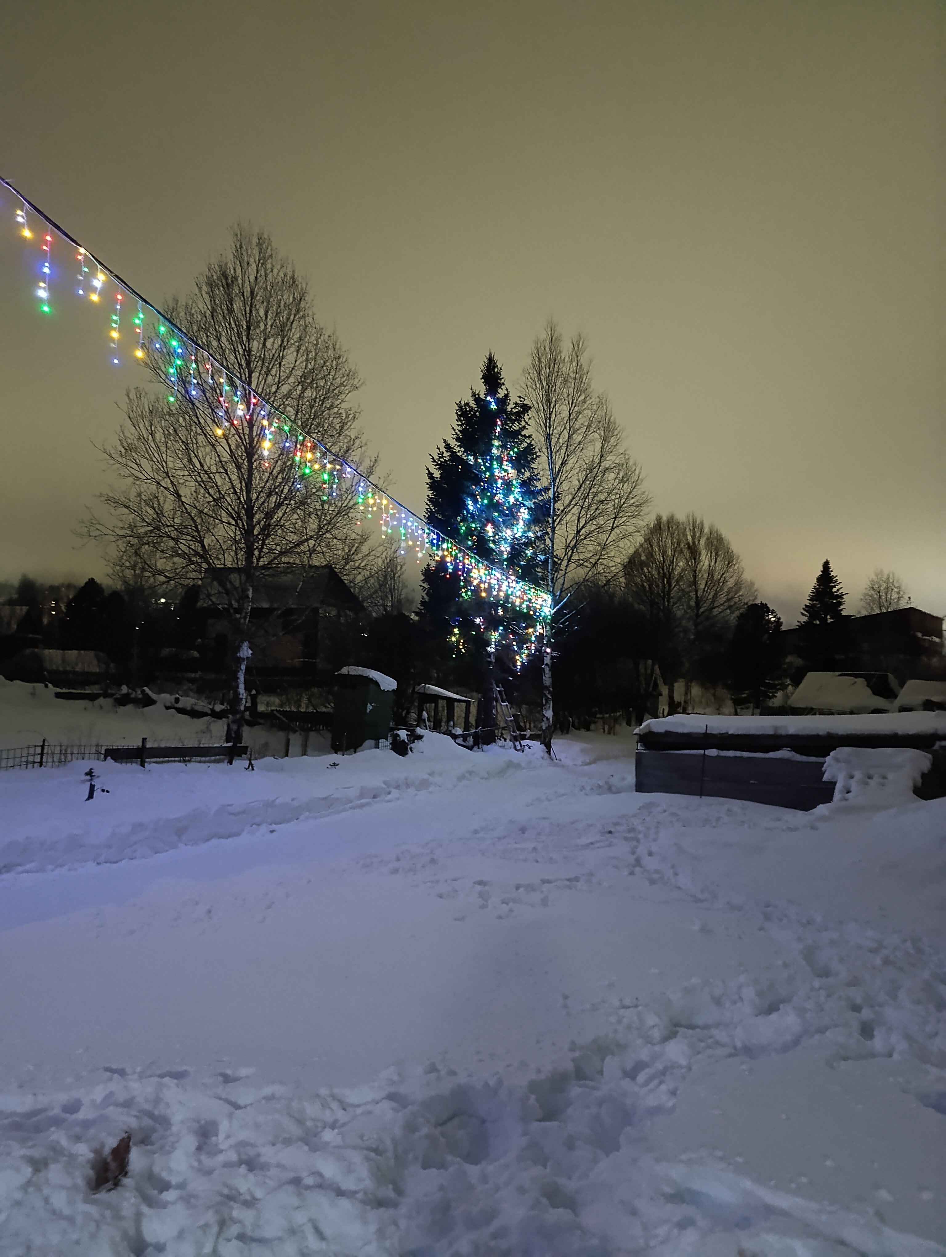 Фото Семейное гнездышко