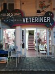 HelloClinic (Istanbul, Kadikoy, Zuhtupasa Neighborhood, Hasan Amir Street, 13A), clínica veterinaria