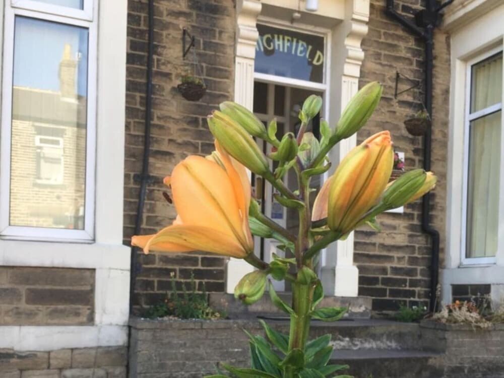 Hotel Lowfield House, Skipton, photo