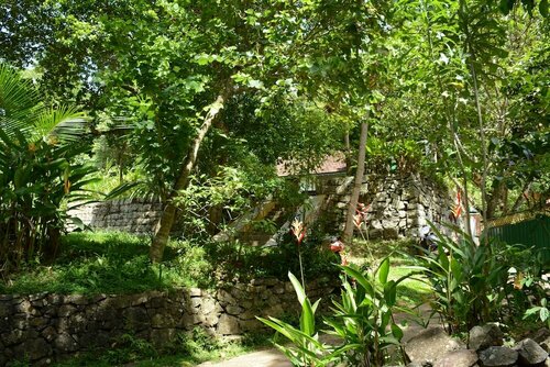 Гостиница The Jungle House