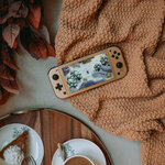 Nintendo (Distrital Rimac, Avenida Lorenzo de Encalada, 395), video game consoles