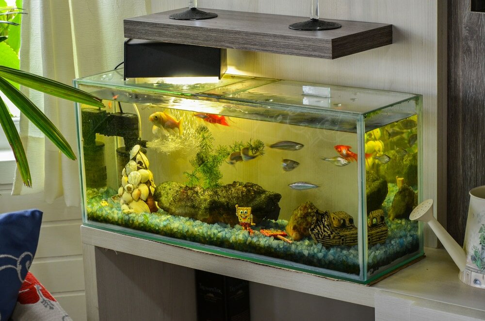 Фото Pousada Gramadense