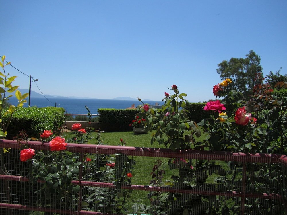 Фото Amalia Residences