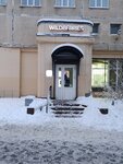 Wildberries (Bogatyrskiy Avenue, 7к8), point of delivery