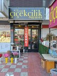 Nostalji Cicekcilik (Ankara Province, Mamak District, Tıp Fakültesi Cad., 148), flower shop