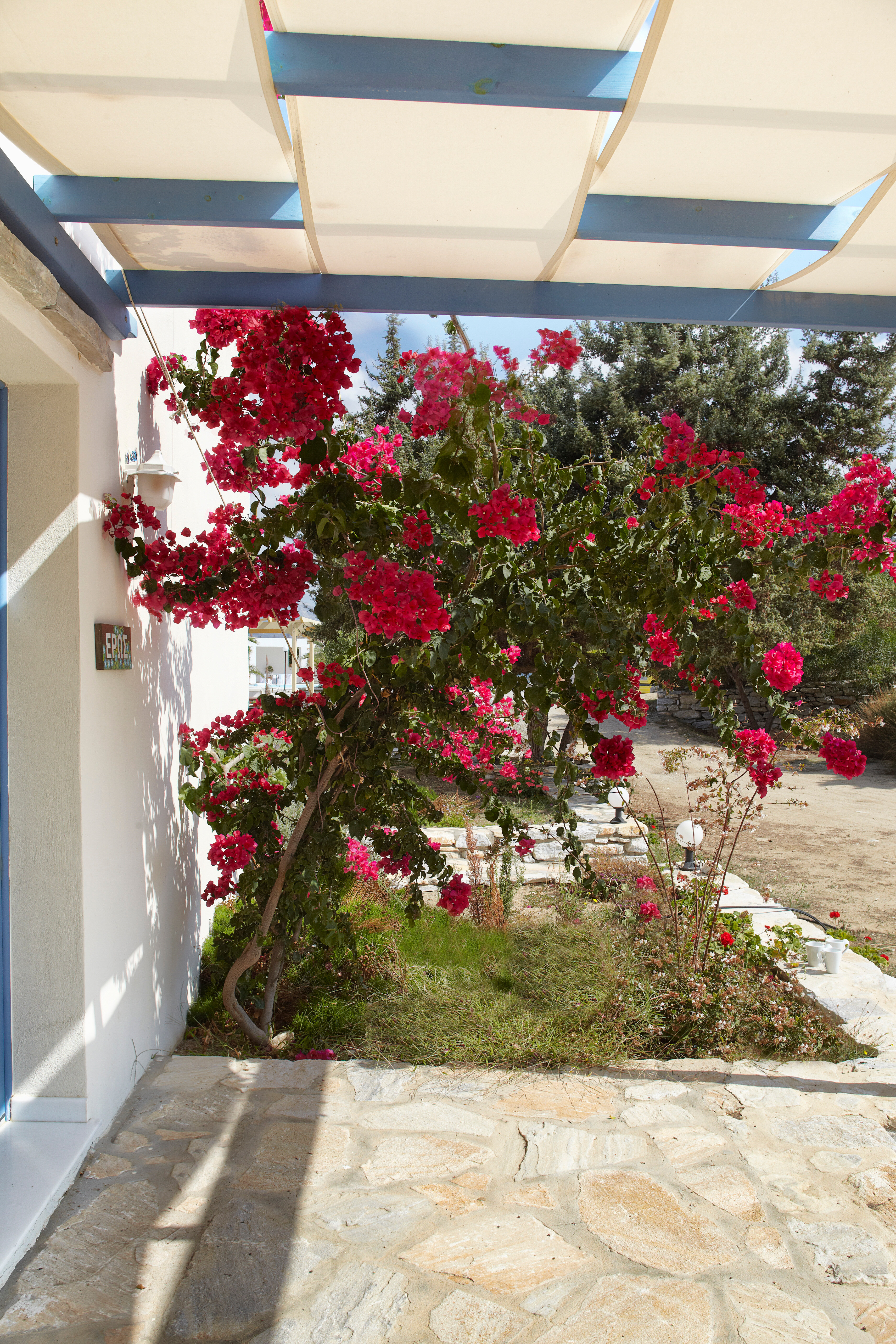 Фото Kedros Villas