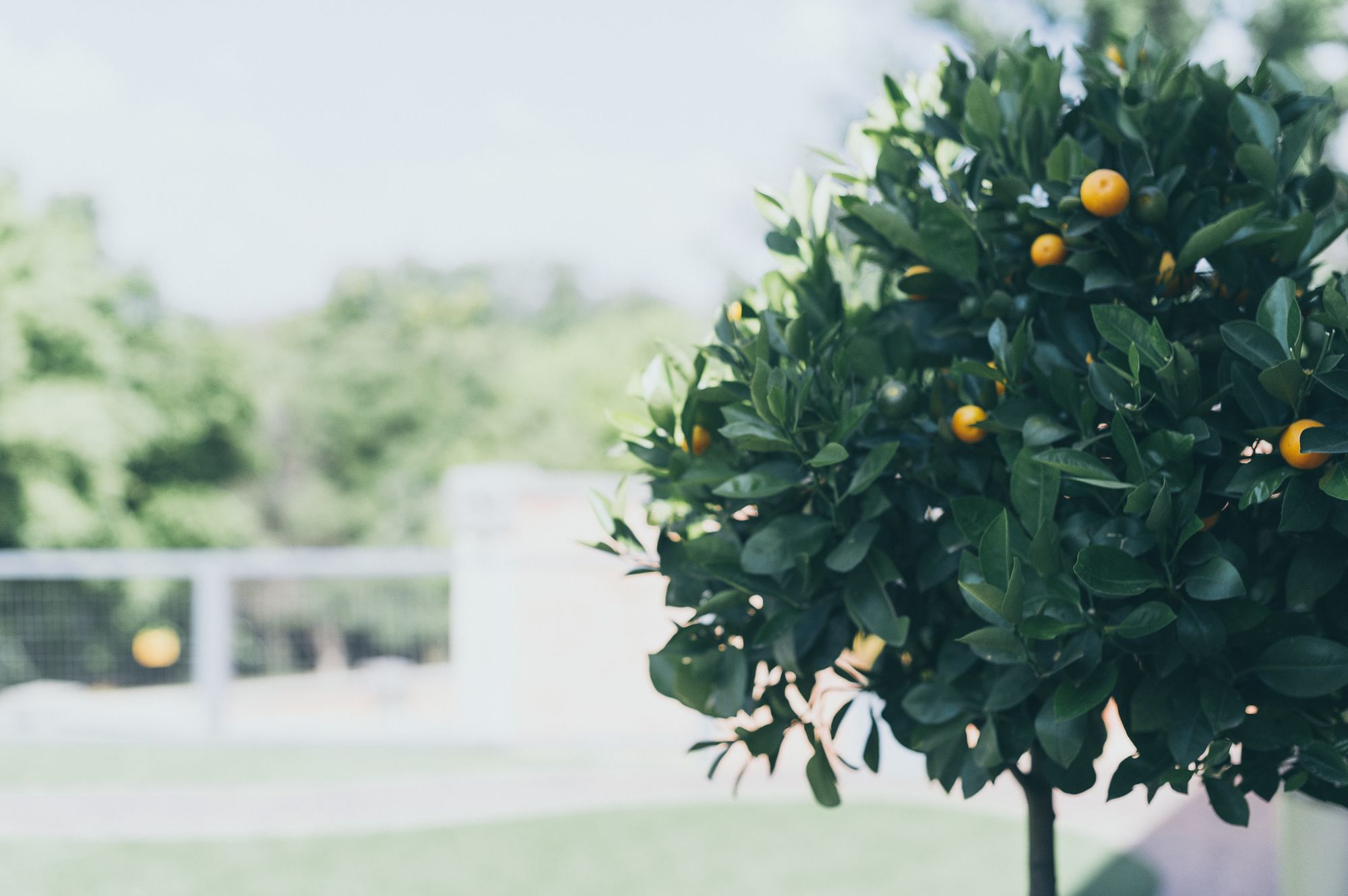 Фото B and B Sandton