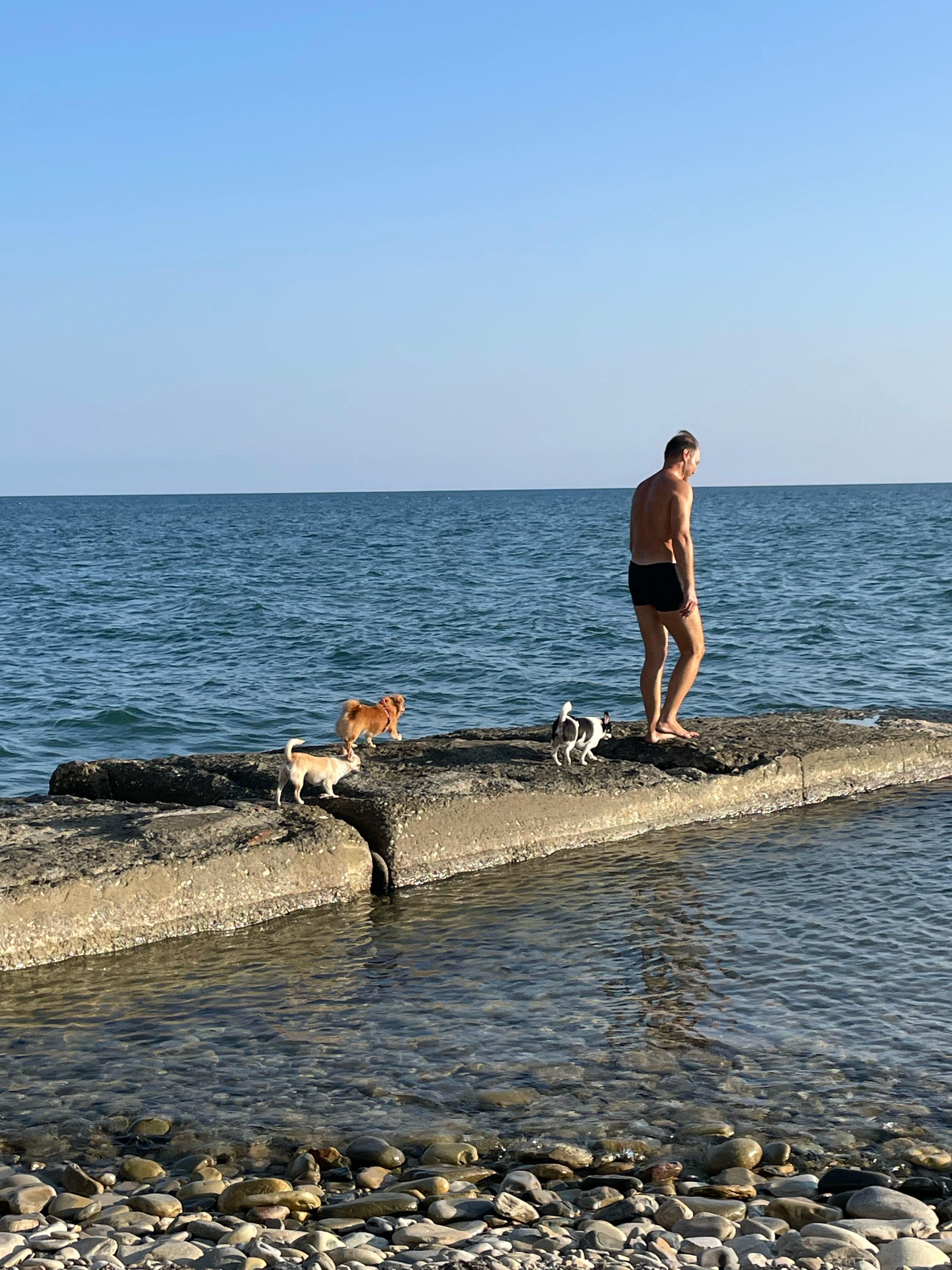 Фото Ланселот