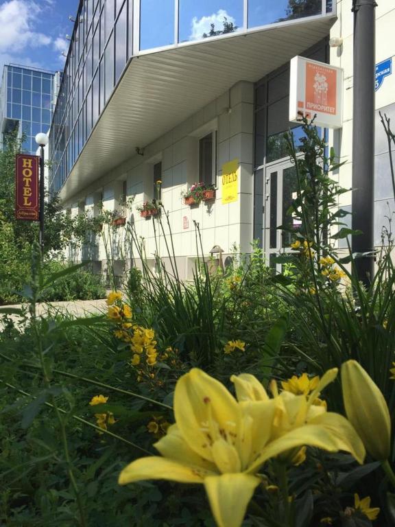 Фото Абрикос