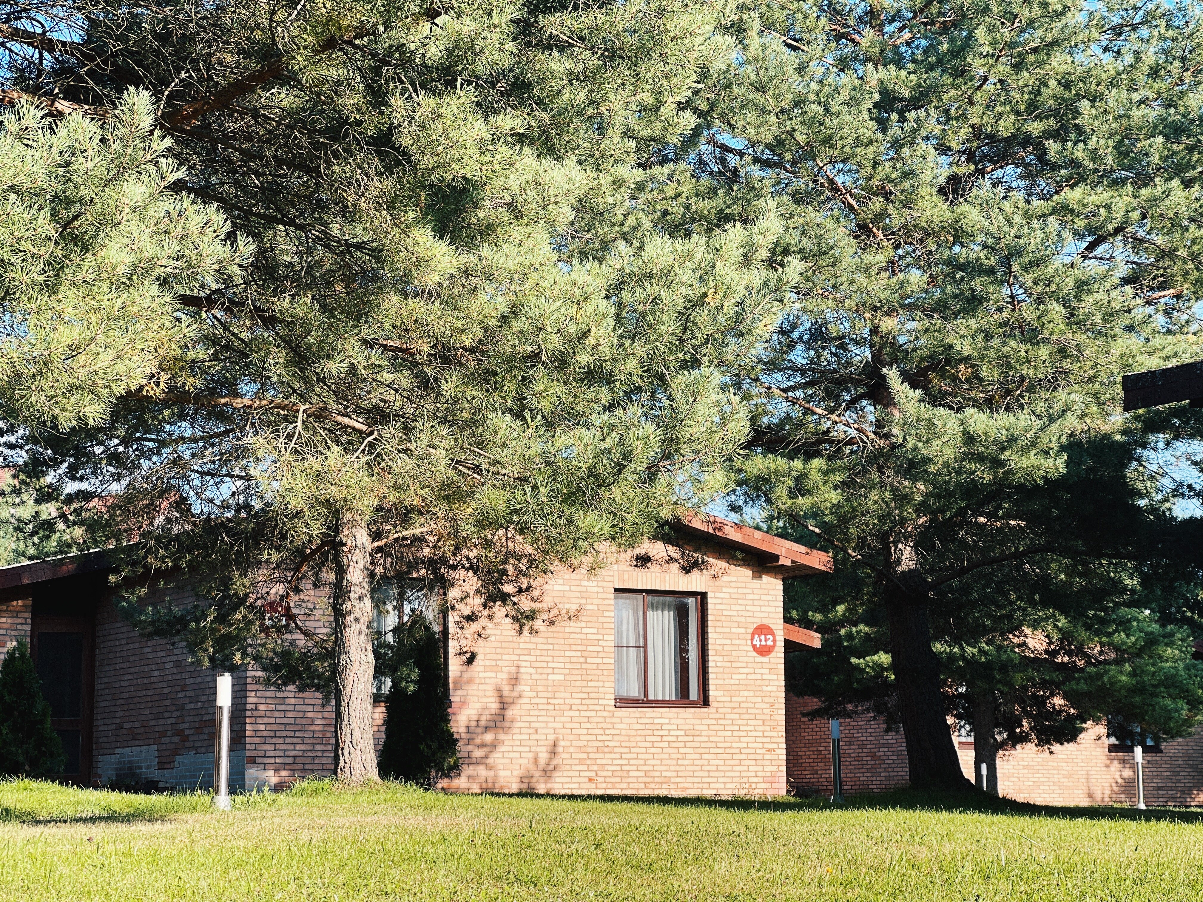 Фото Сусанин парк