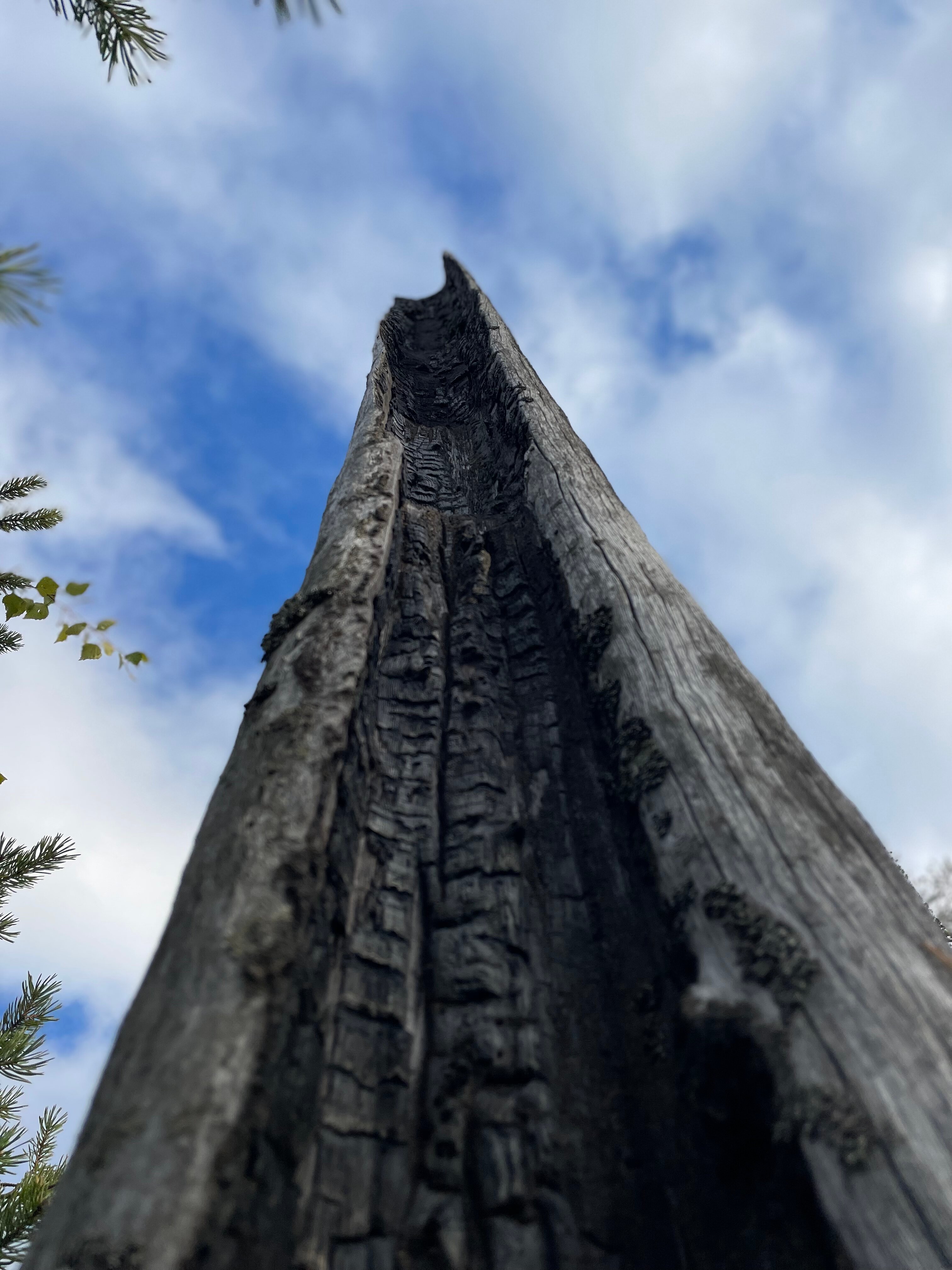 Фото Этнопарк Лопский берег