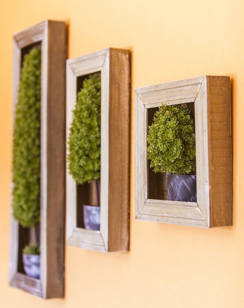 Фото Mountain View Lodge