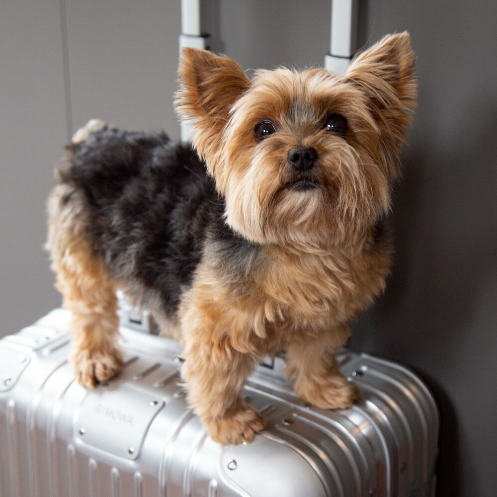 Фото View Melbourne