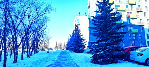 День и ночь на улице Тимирязева 41  фото 7