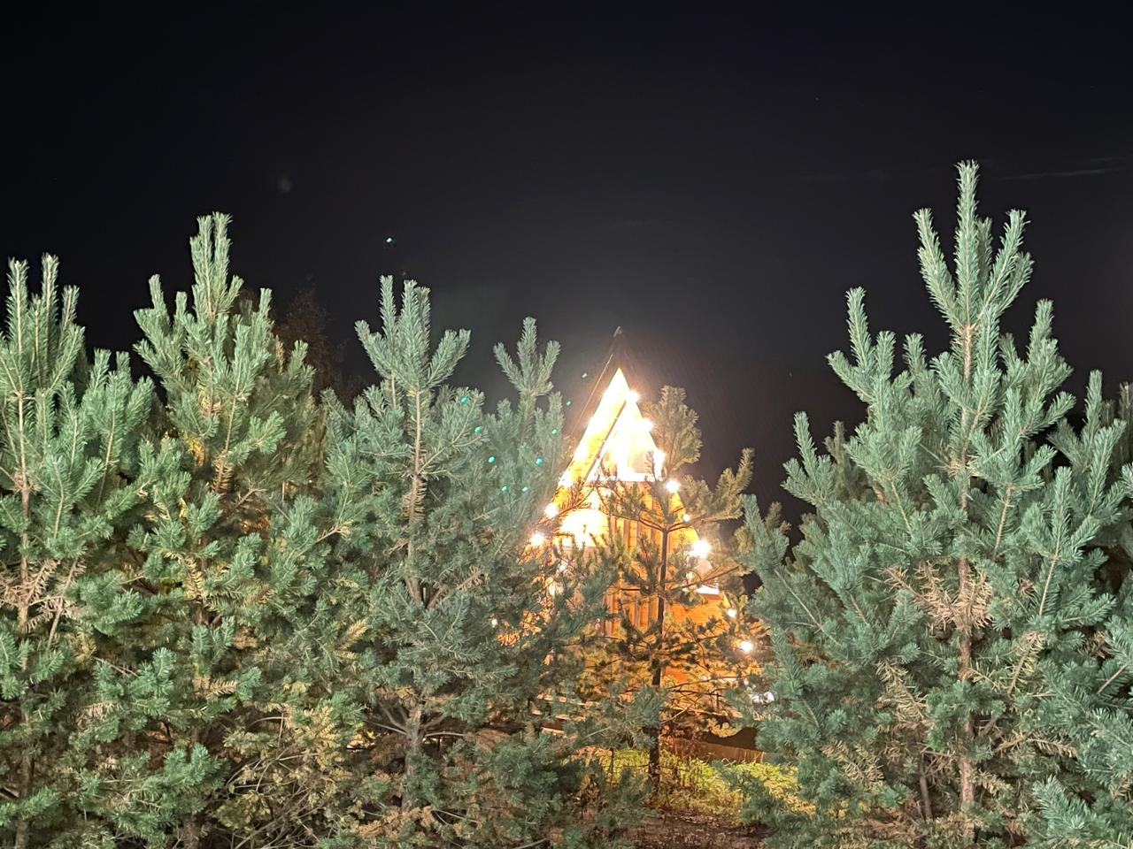 Фото Глэмпинг Тверской-Ямской