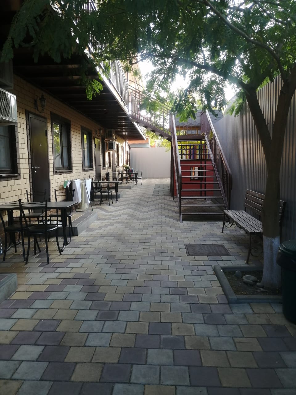 Фото Мандарин