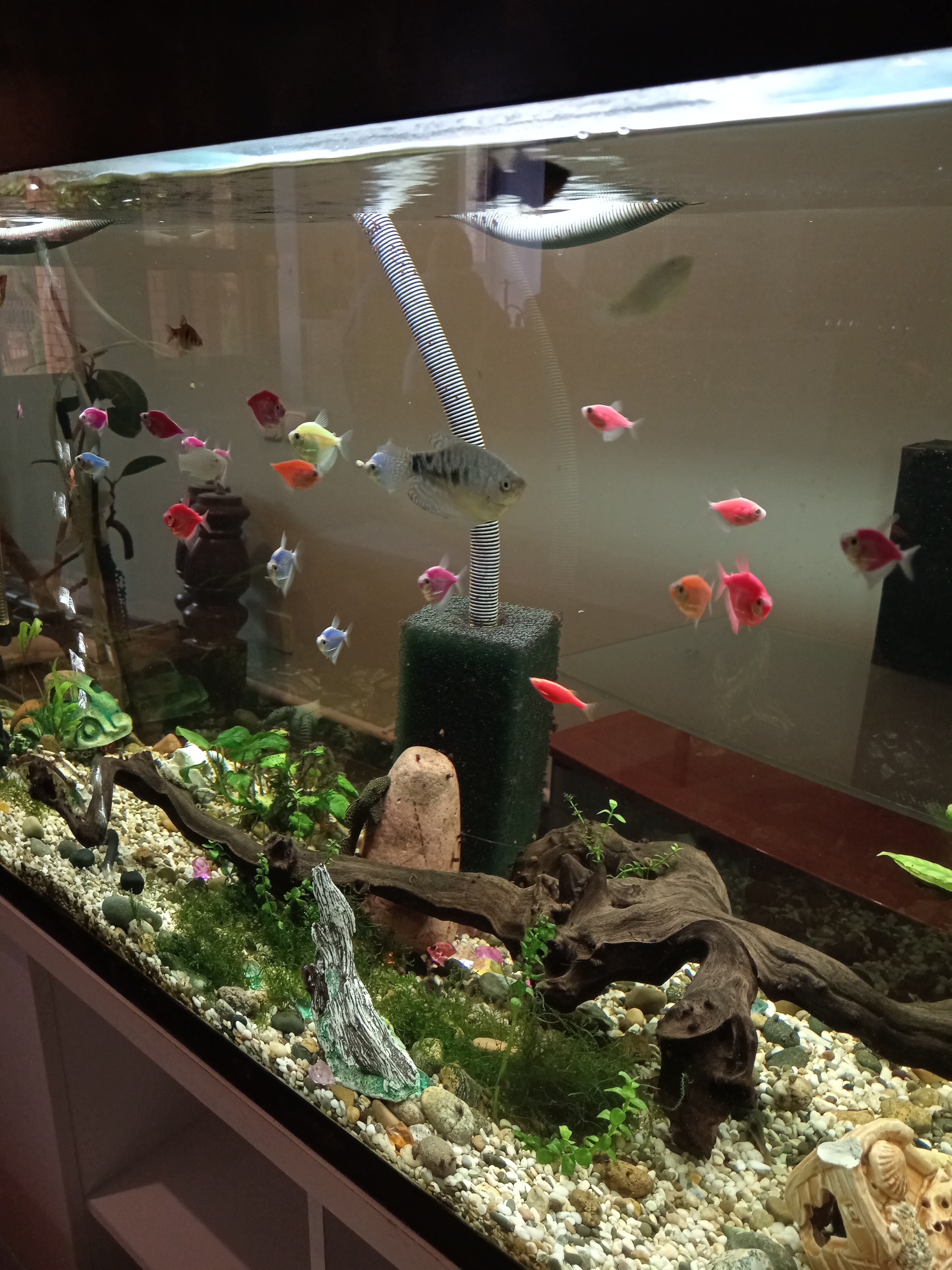 Фото Изумрудный лес