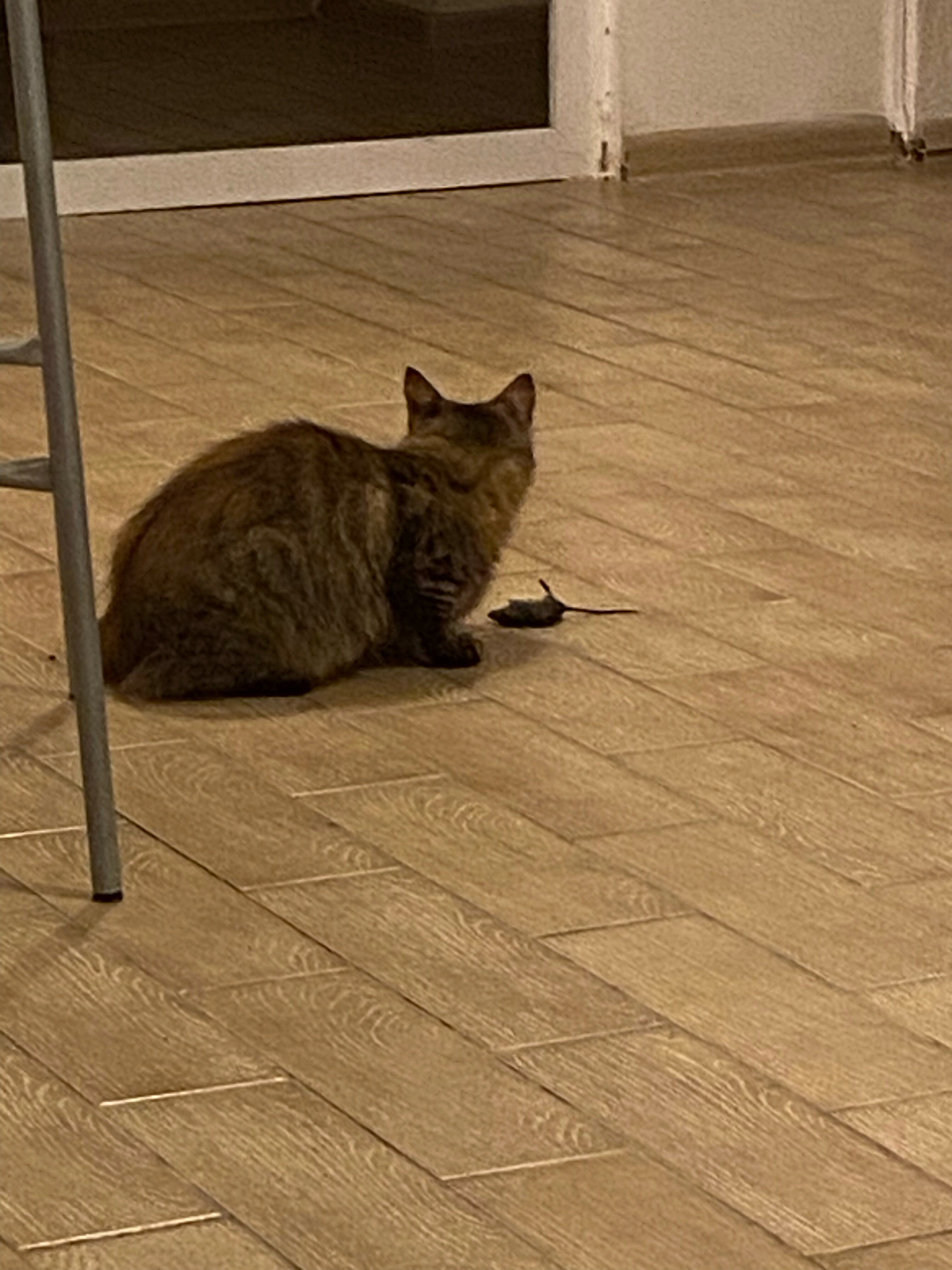 Фото Южный дом