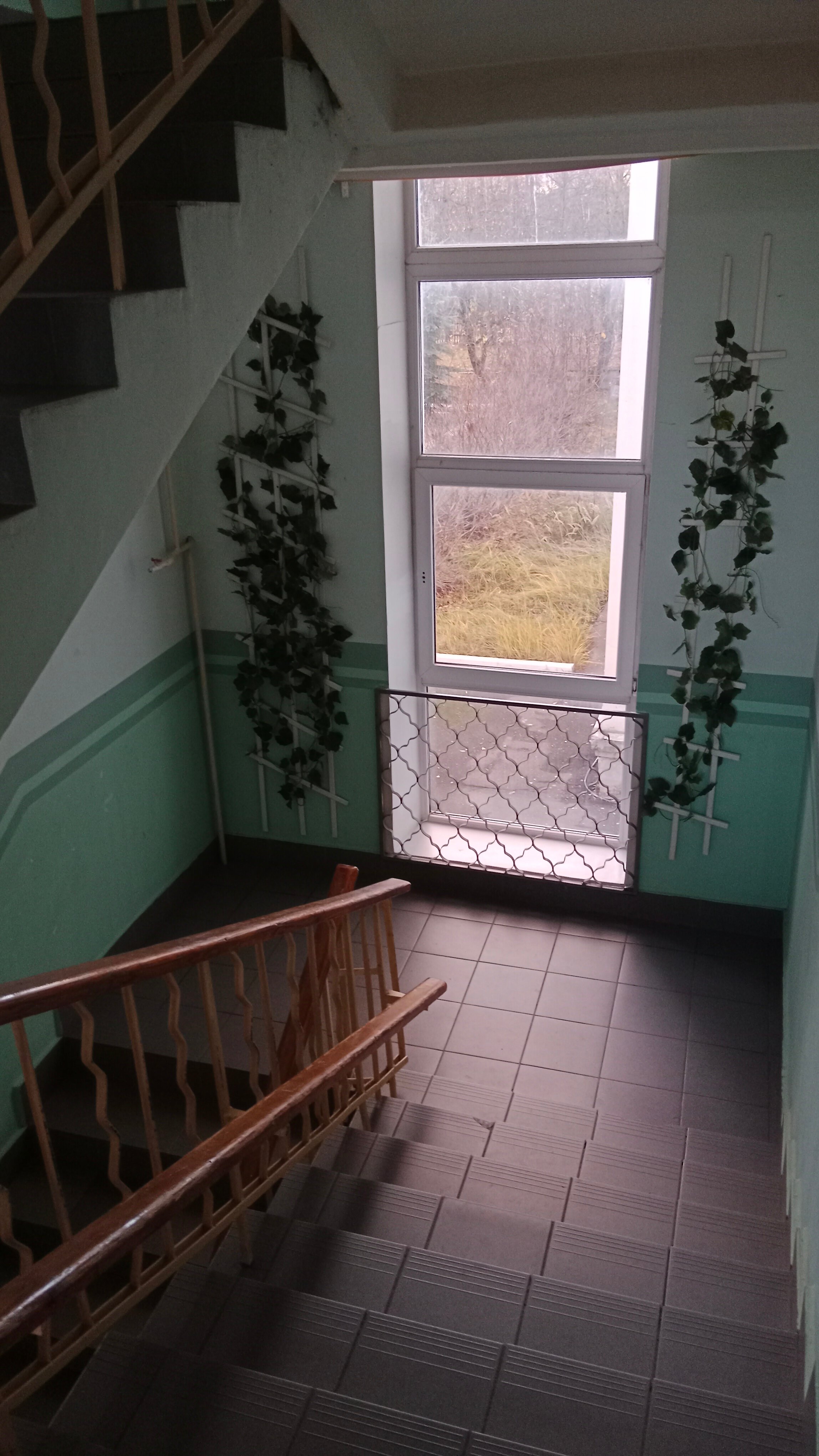 Фото Доброе