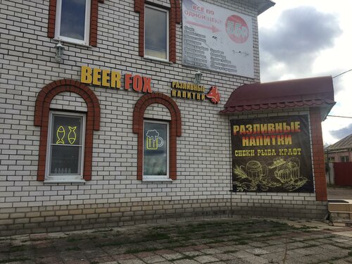 Bar, pub Beer Fox, Lipetsk Oblast, photo