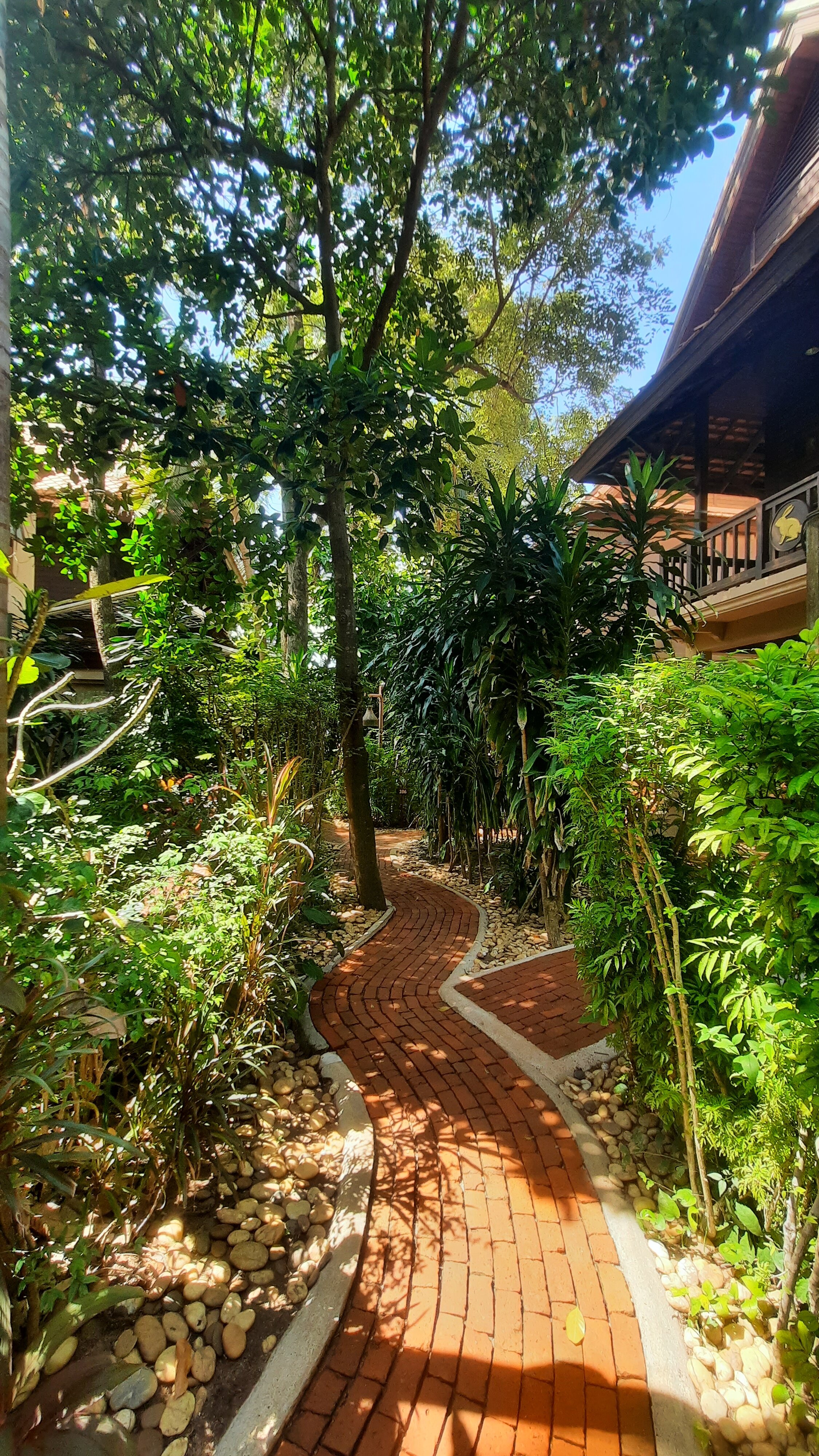 Фото Rabbit Resort Pattaya