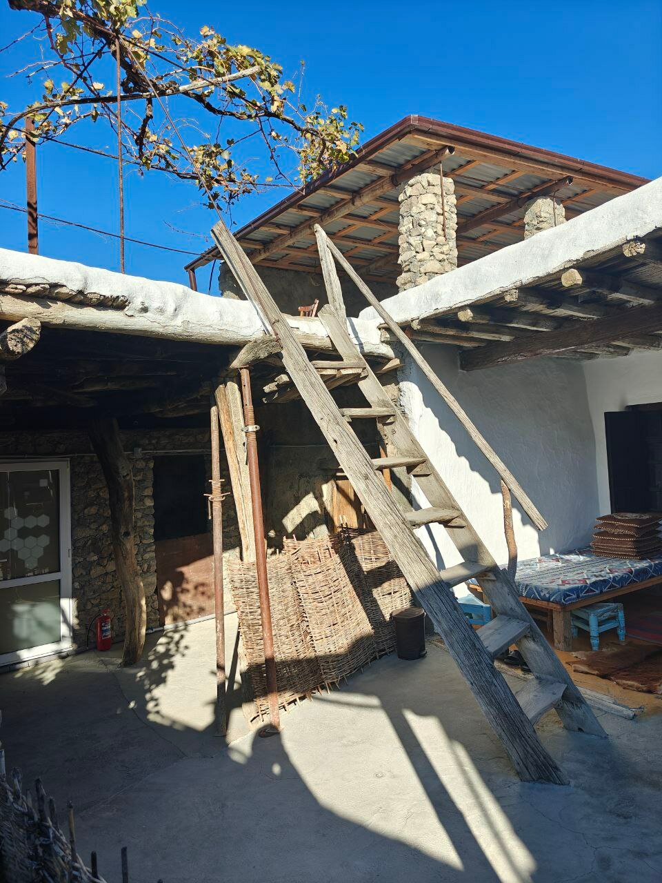 Фото МириДа