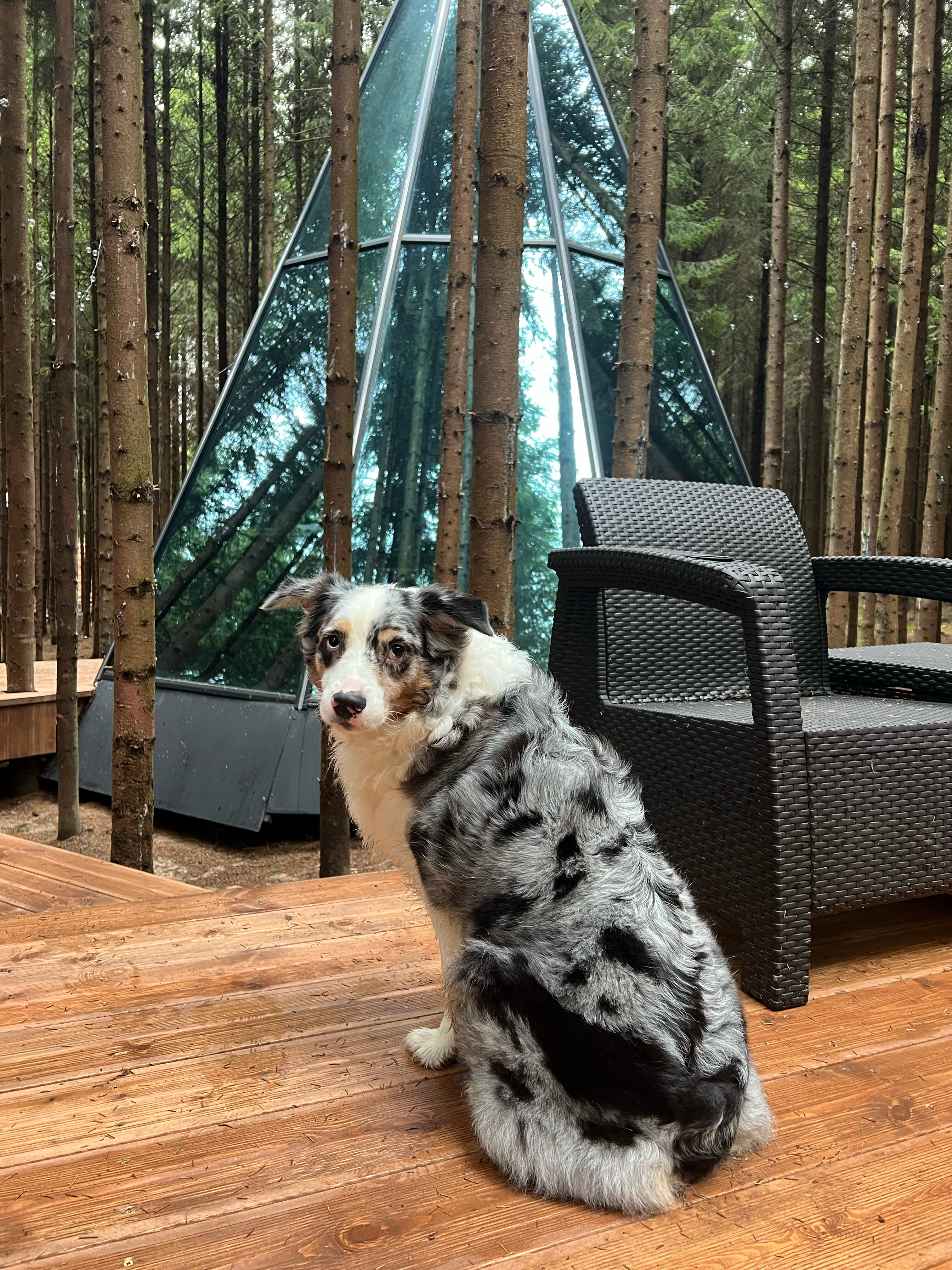 Фото Ёлкино life