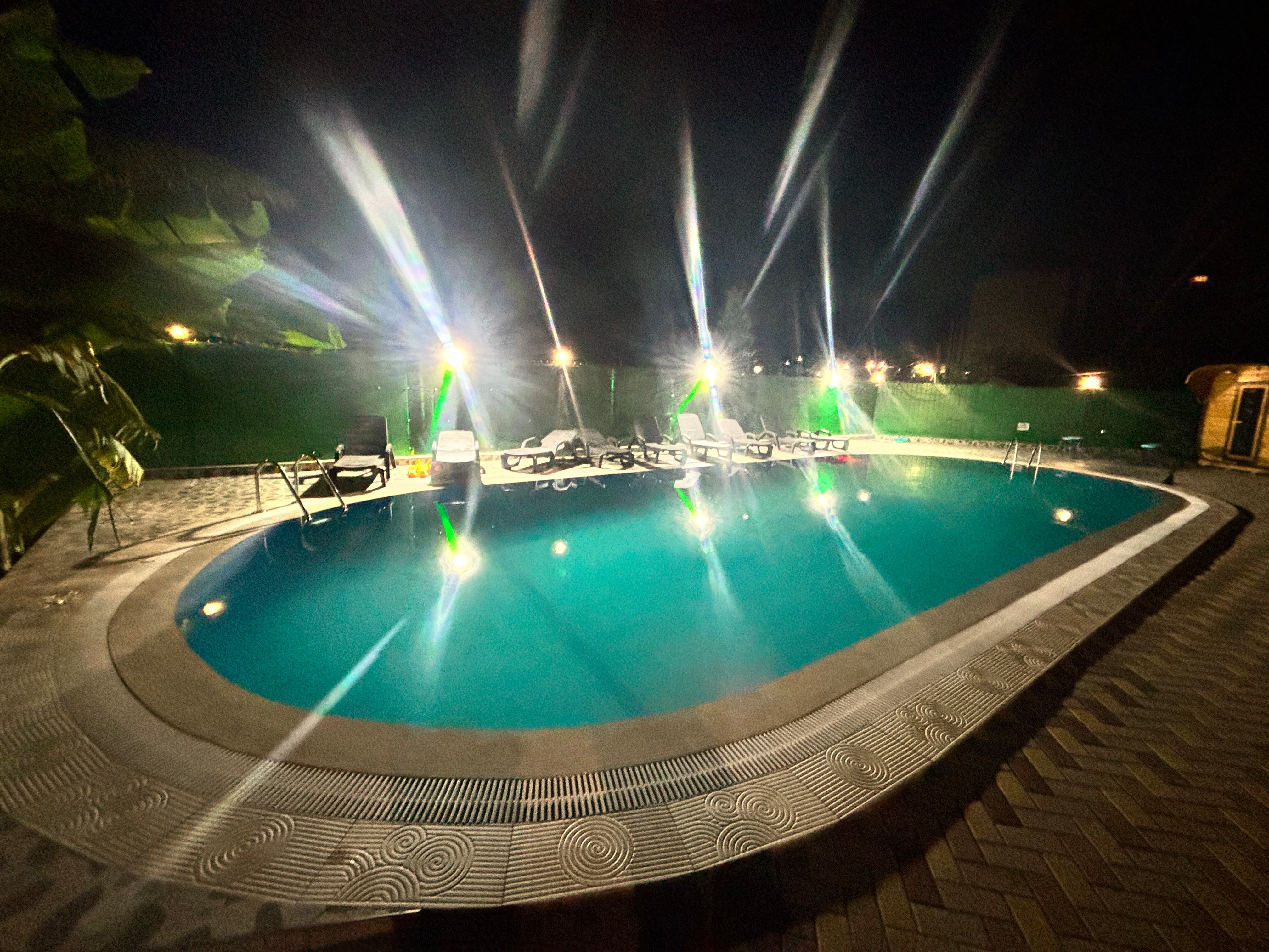 Фото Эдельвейс