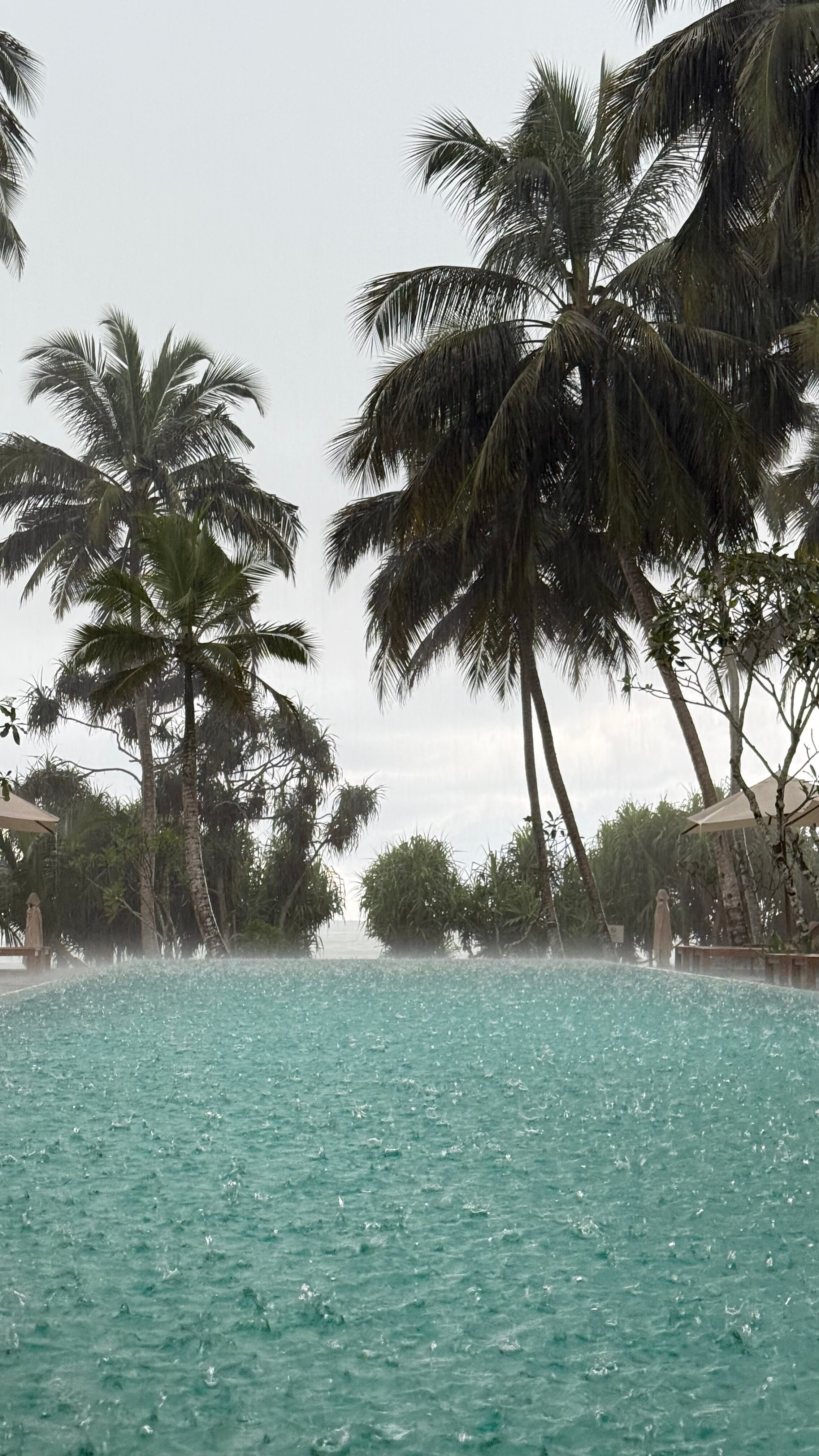 Фото Kayaam Wellness