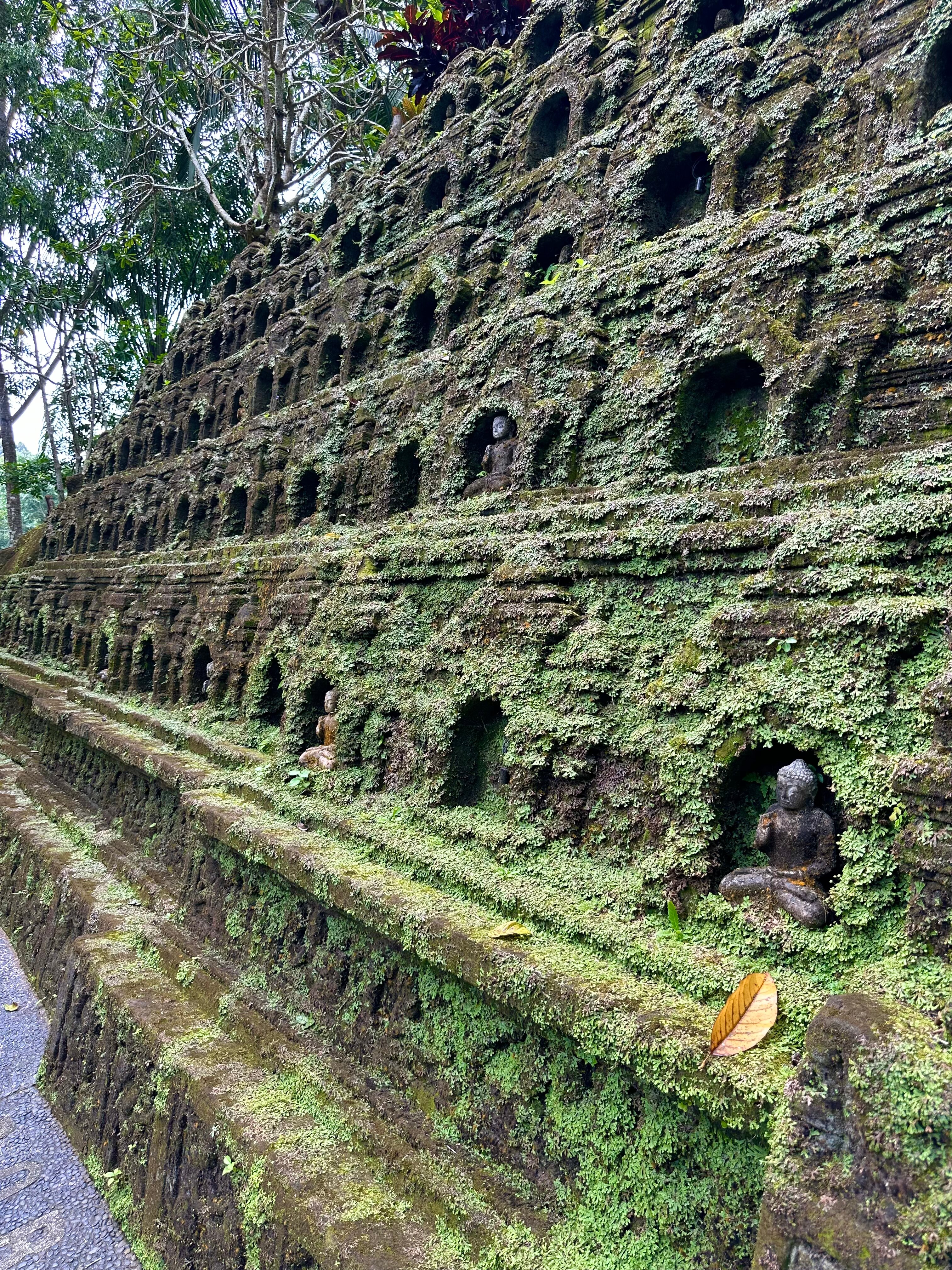 Фото Ayung Resort Ubud