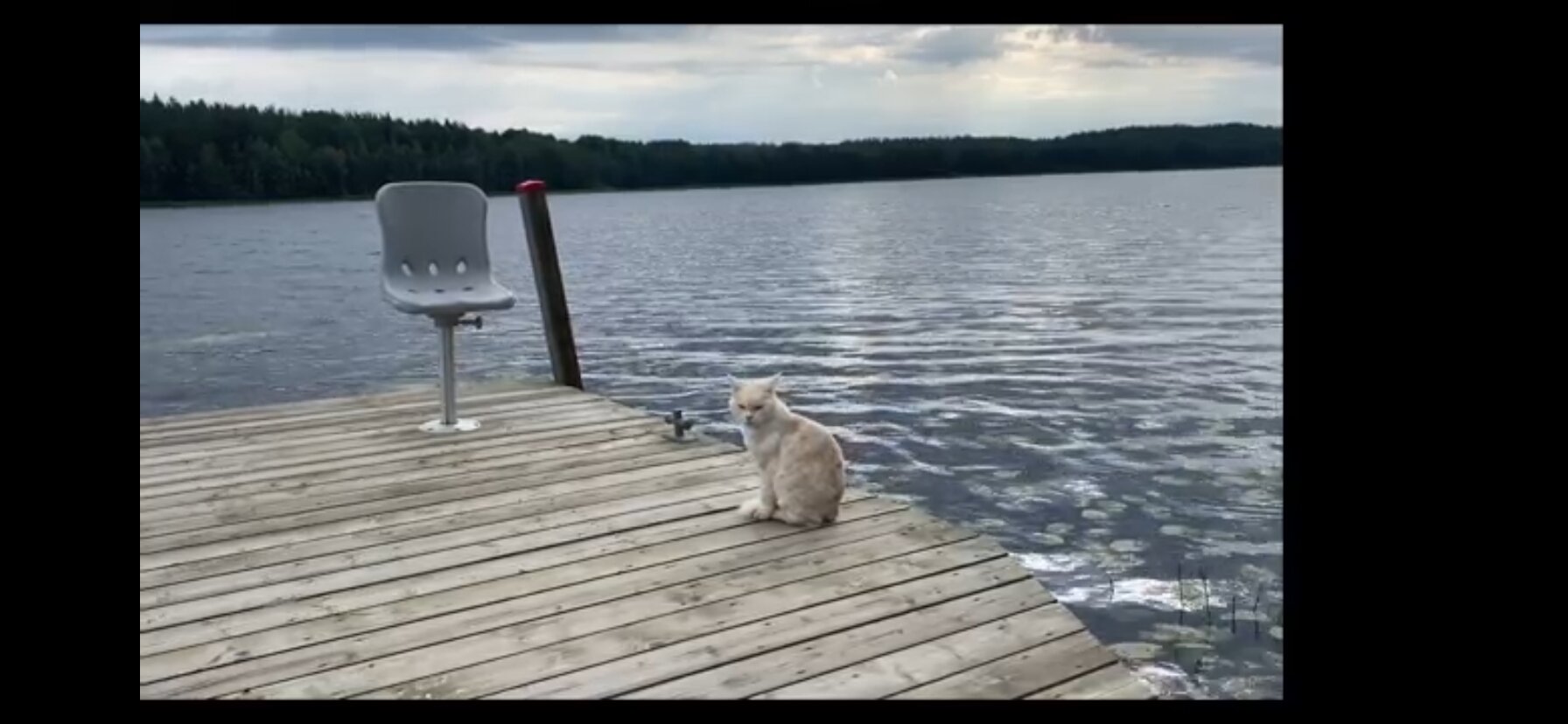 Фото Спринг Вилладж