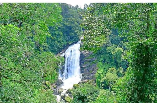 Гостиница Hotel C7 Munnar