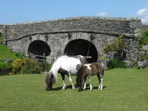 Внешний вид отеля The Bedford Hotel в Уэст-Девоне, фото 4