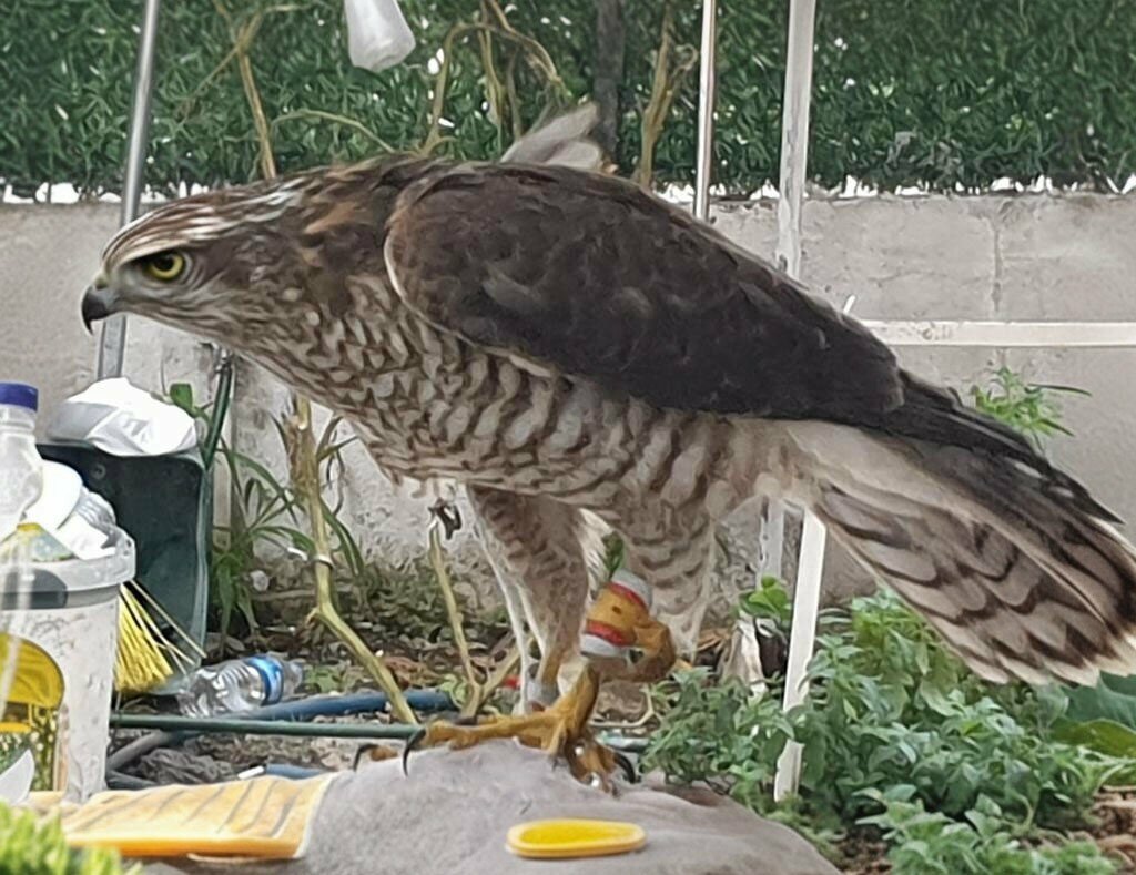Labor union 1919 Atakum Hunters Club, Samsun, photo