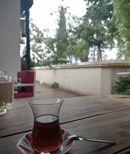 Bebek Tea House (Manisa Province, Salihli District, Şüheda Cad., 163), restaurant