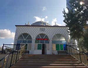 Altunkent Seyfettinefendi Mosque (Erzincan, Tercan, Kargın Beldesi), mosque