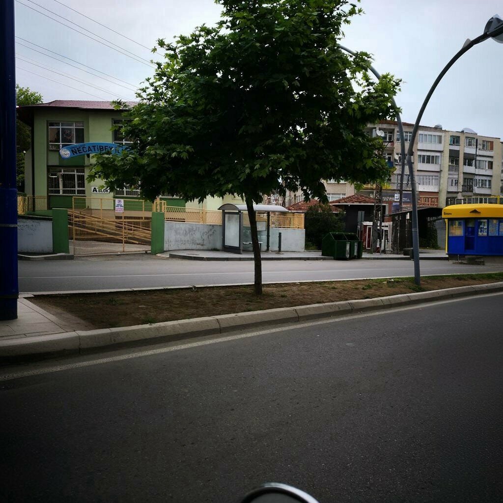 Primary school Necatibey Primary School, Samsun, photo