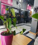 Afrodit Guzellik Salonu (Kocaeli, Gölcük, 19 Mayıs Cad., 13) ، صالون تجميل
