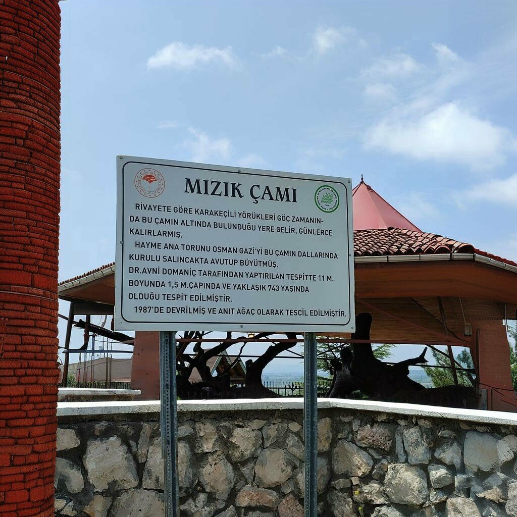 Landmark, attraction Mizik Pine, Domanic, photo