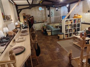 «Zoki cat cafe» фото 1