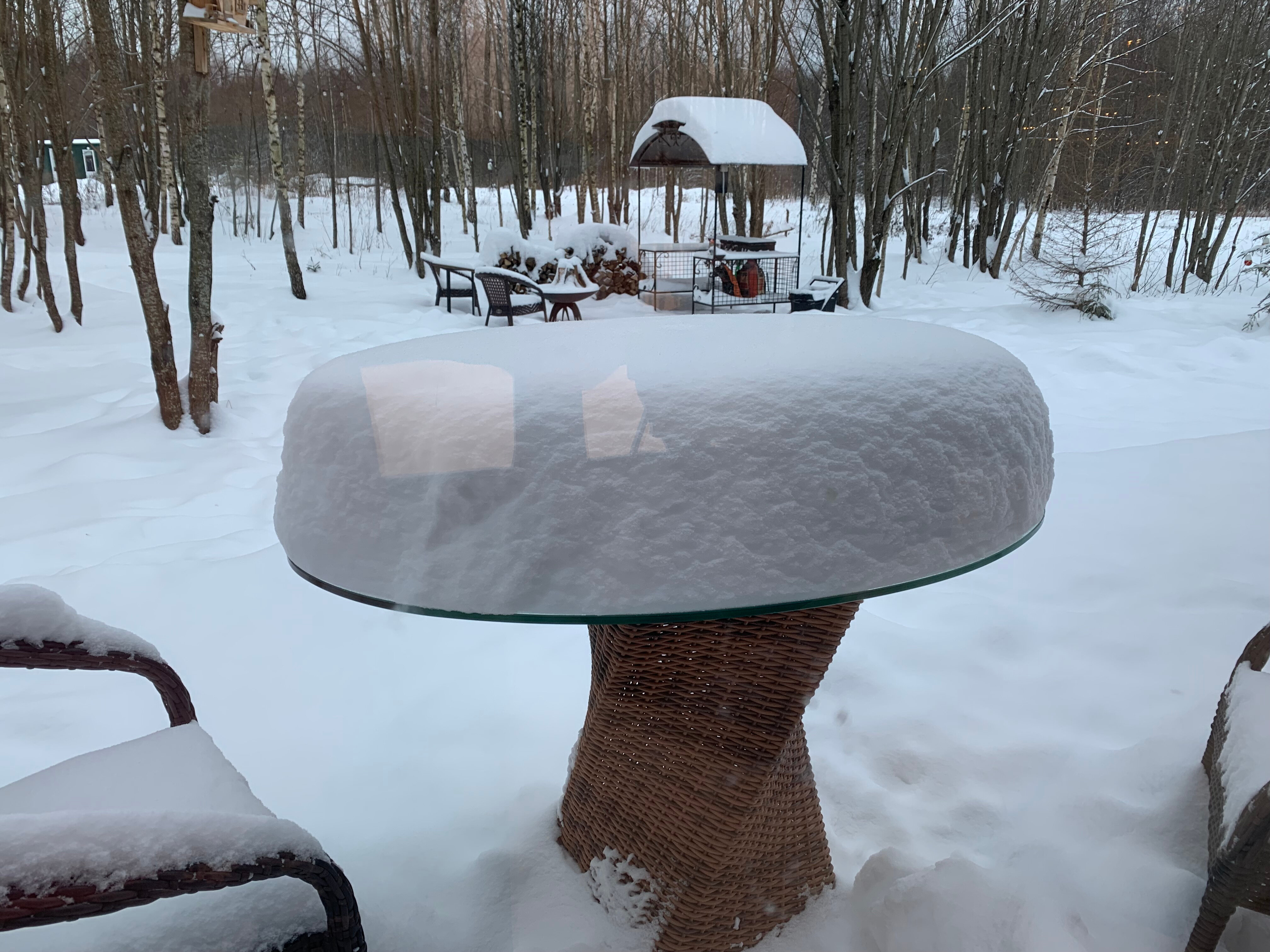 Фото Парк Север