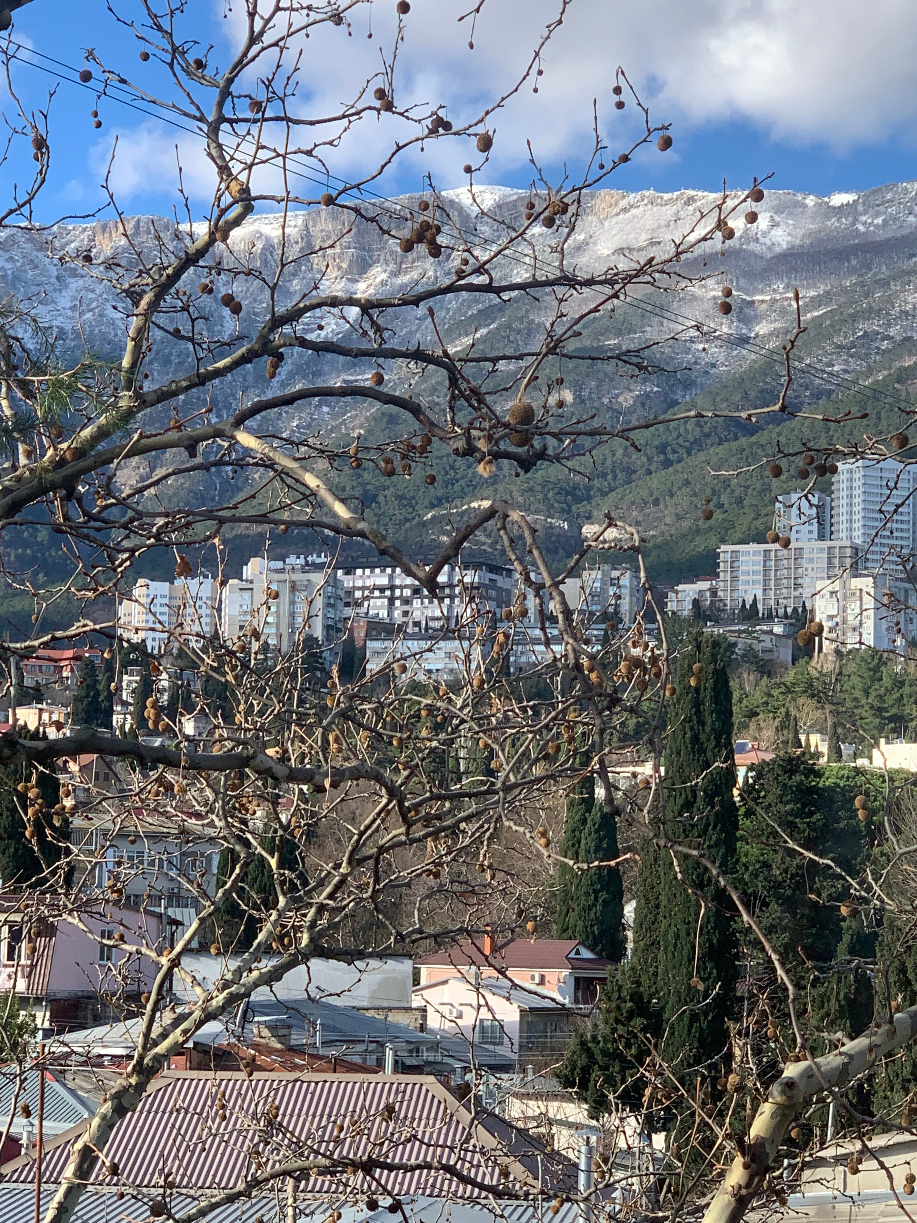 Фото Авангард