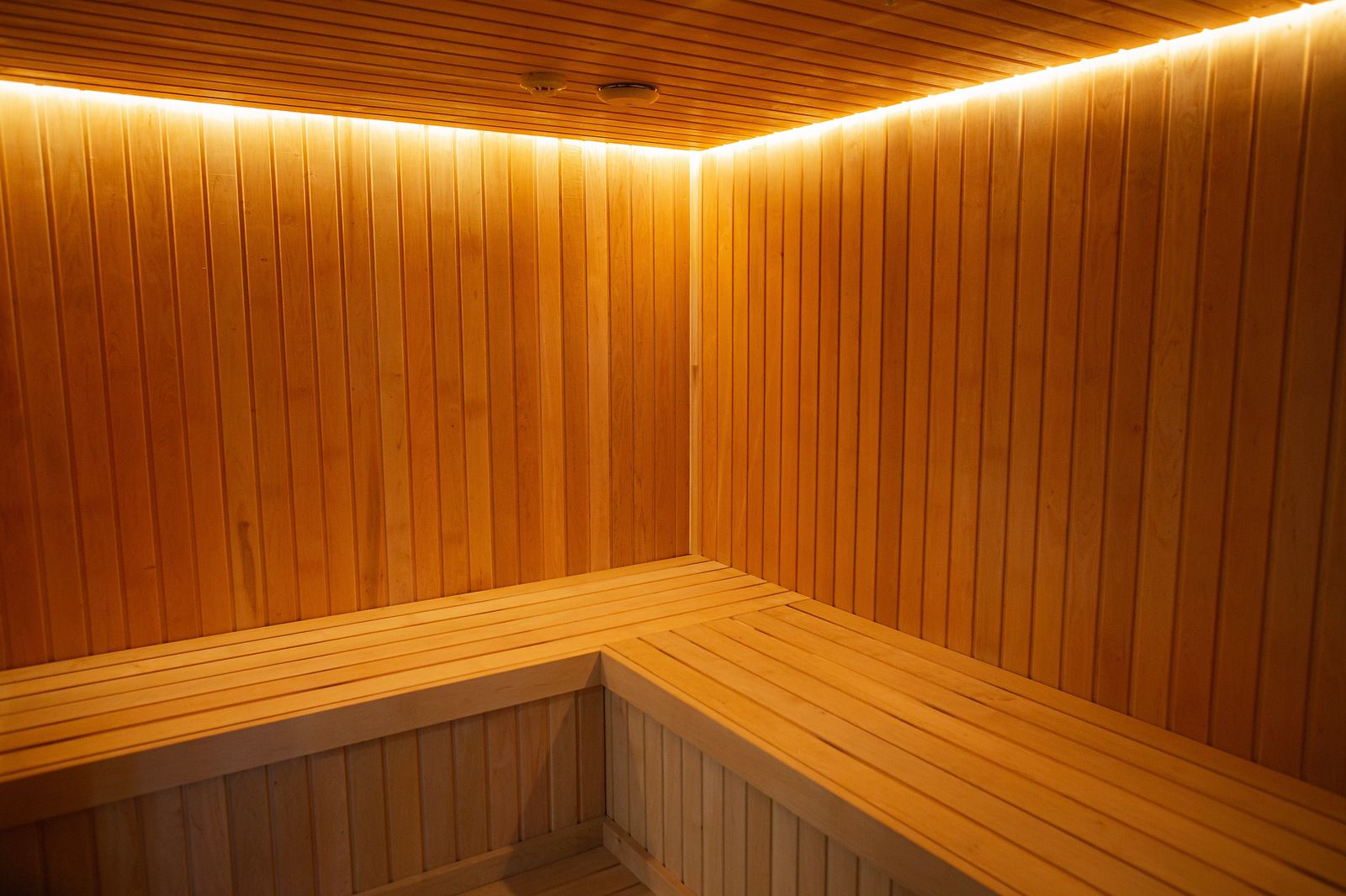 Фото Таёжный привал