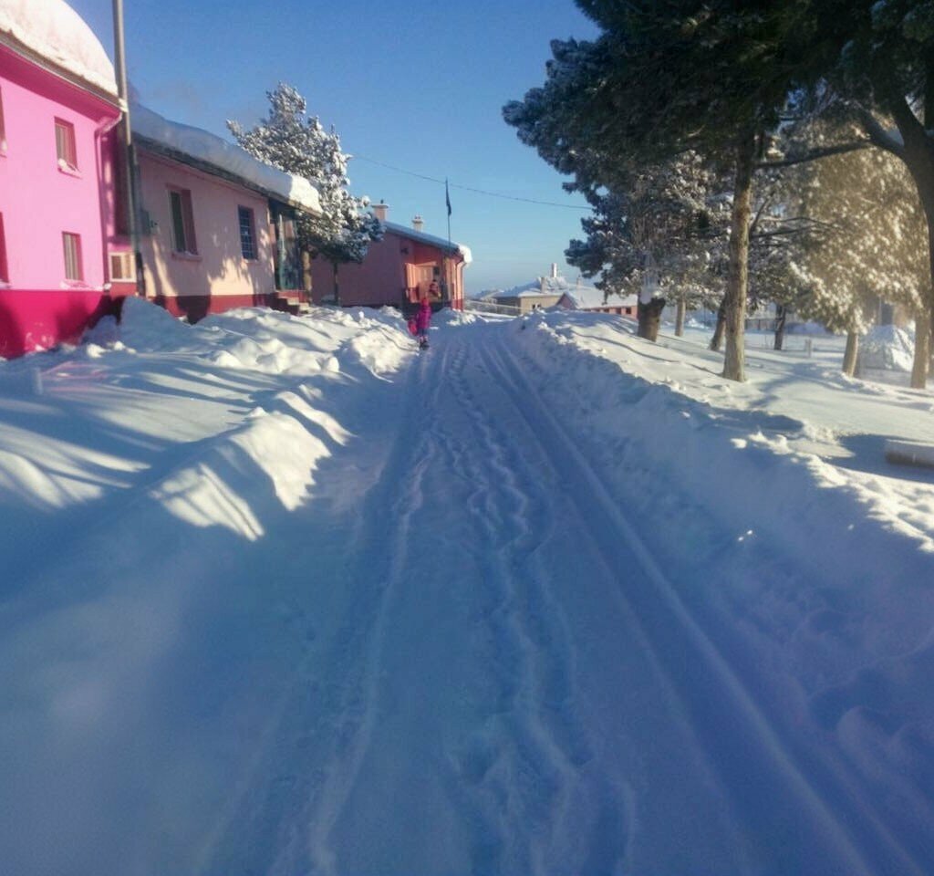 Primary school Bahcesaray Primary School, Sarayonu, photo